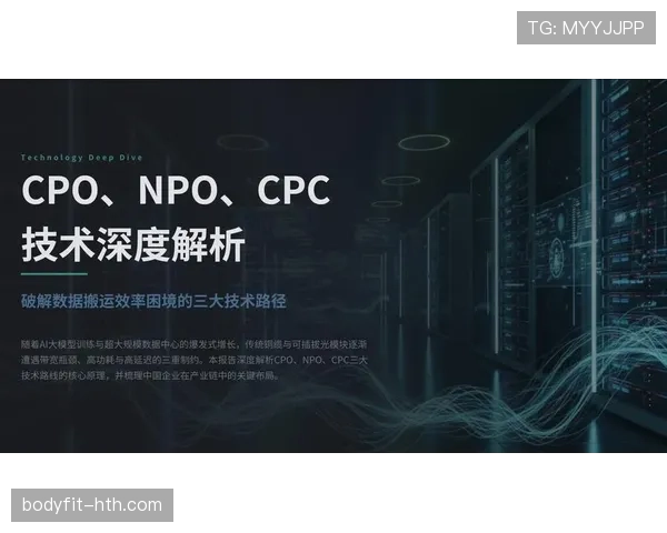 B费与德容：推进机制与参与深度的核心差异解析